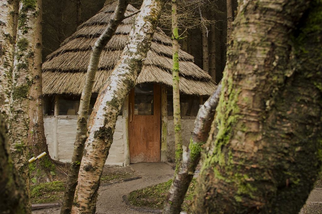 Web Design - Comeragh Wilderness Camp